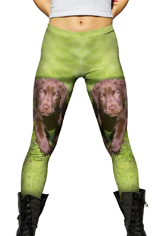 Cool Style Speedy Chocolate Lab